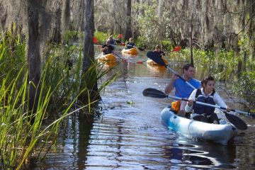 A group of people kayaking through a swamp near New Orleans
