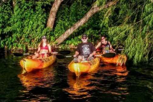 A group of people sitting in kayaks on a river