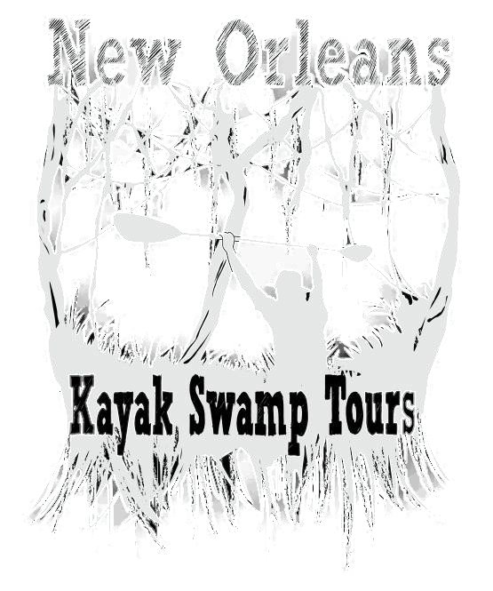 a close up of text on a black background